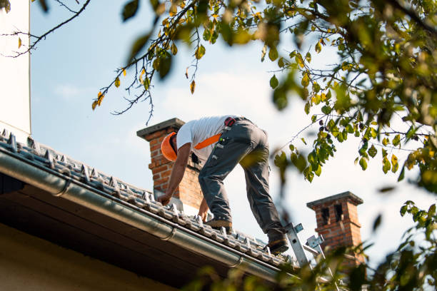 Professional Roofing Contractor in Frontenac, MO